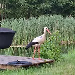 Kameralne Na Mazurach Holiday home *